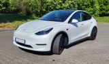 Tesla Model Y Performance Dual Motor AWD 8Fach-bereift