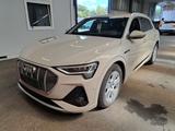 Audi e-tron 55 quattro S line Standhz Hifi - mit Elektro-Antrieb: Beige, Head-Up Display