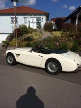 Austin Healey BN 4  - Austin Healey: Bn4