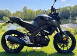 Yamaha MT-125 Black Edition | Top gepflegt - YAMAHA 125 ED