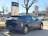 Ford Mustang Mach-E / ACC / TOTW. / MEMORY  - Ford Mustang Mach-E SUV