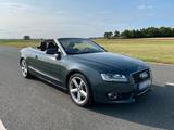 Audi MTM Audi A5 2.7 TDI (V6) Cabrio S-Line (Le... - Audi A5: V6