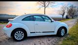 Volkswagen VW Beetle Käfer /160 PS /neue  Steuerkette... - Volkswagen: Sportwagen, Kaefer