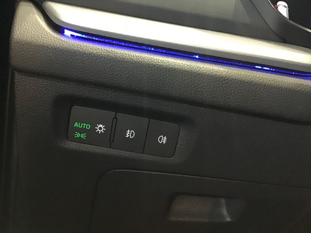 Fahrzeugabbildung Skoda Octavia Clever 2.0 TDI Combi DSG/Navi/ACC/Kamera