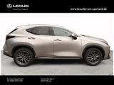 Lexus NX 450 h+ E-Four Business Line - silberne Lexus NX 450h