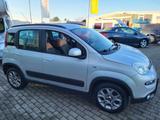 Fiat Panda Rock 4x4,AHK,Sitzhzg. - Fiat Panda: 4.4