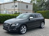 Audi SQ5 3.0 TDI competition tiptronic quattro - Audi SQ5: TDI