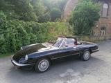 Alfa Romeo Spider 1.6 H-Kennzeichen - Alfa Romeo Spider in Dortmund