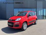 Fiat Panda Tagfahrlicht Servo 86 PS Benzin/Erdgas - Fiat Panda mit CNG-Antrieb
