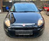 Fiat Punto 1.2 8V Start&Stopp Dynamic - Fiat Punto Dynamic mit Benzin-Antrieb