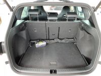 Cupra Ateca - Vorschau Bild 11