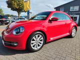 Volkswagen Beetle Lim. Design - Volkswagen Beetle: Rot