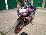 Aprilia Tuono V4 1100 Factory - APRILIA TUONO V4 1100