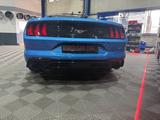 Ford Mustang 2.3 EcoBoost Auto - - Ford Mustang Gebrauchtwagen in Köln