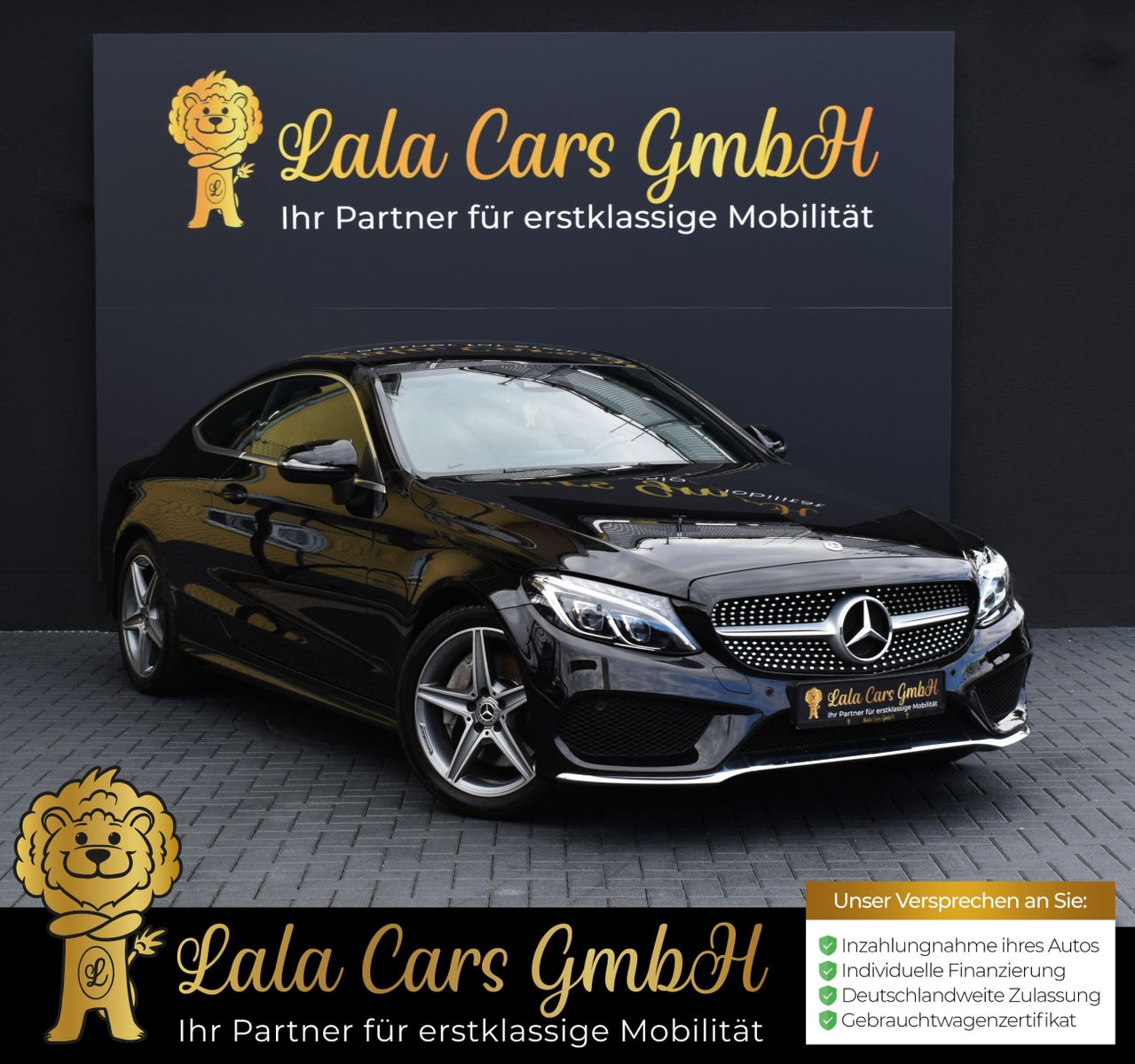 MERCEDES-BENZ C 300/AMG INTERIEUR-PAKET/AMG-PAKET/SPURHALTE