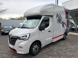 Renault Master MSG Pferdetransporter "Superlight Plus" - Autokran