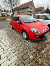 Fiat  Punto 1.2 - gebrauchte Fiat Punto aus dem Jahr 2011
