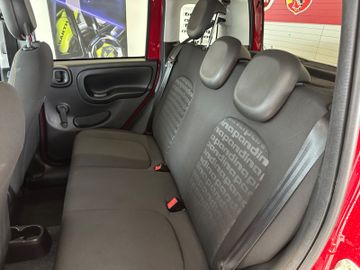 Bild 20 Fiat Panda Pandina Cross