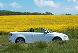 Audi Cabriolet - scheckheftgepflegte Audi Cabriolet