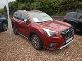 Subaru Forester Comfort Mj 24,  Tageszulassung!