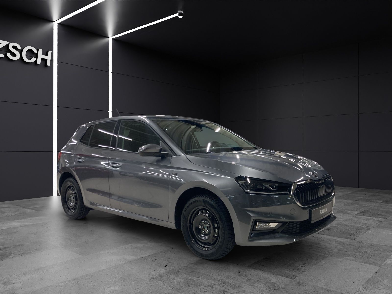 Fahrzeugabbildung SKODA Fabia TOUR LED NSW CLIMA KESSY
