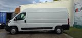 Peugeot Boxer Kasten 335 L3H2 Premium BlueHDi
