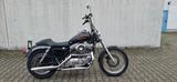 Harley-Davidson Sporty 883 - HARLEY-DAVIDSON SPORTY