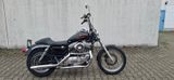 Harley-Davidson Sporty 883 - HARLEY-DAVIDSON SPORTY