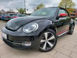 Volkswagen Beetle Cabriolet Club BMT - Volkswagen Beetle: Club