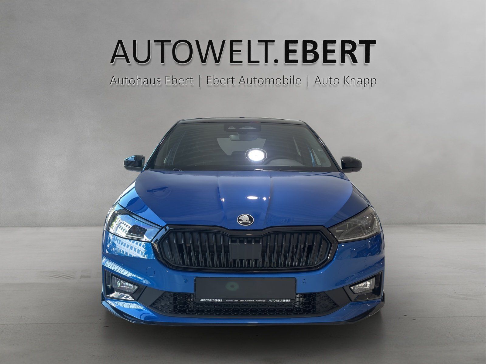 Fahrzeugabbildung SKODA Fabia 130 1,5 TSI 130 kW DSG NAVI/MATRIX/ACC/50L