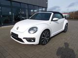 Volkswagen Beetle Cabriolet Sport - Volkswagen Beetle mit Diesel-Antrieb: Automatik