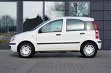 Fiat Panda 1.2 8V Natural Power Panda - Fiat aus 2007
