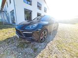 Porsche Cayenne GTS Top-Spec Sammlerzustand - Porsche Gebrauchtwagen in Regensburg