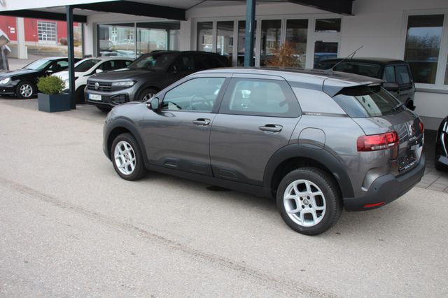 Citroën C4 Cactus Feel  Zahnriehmen neu