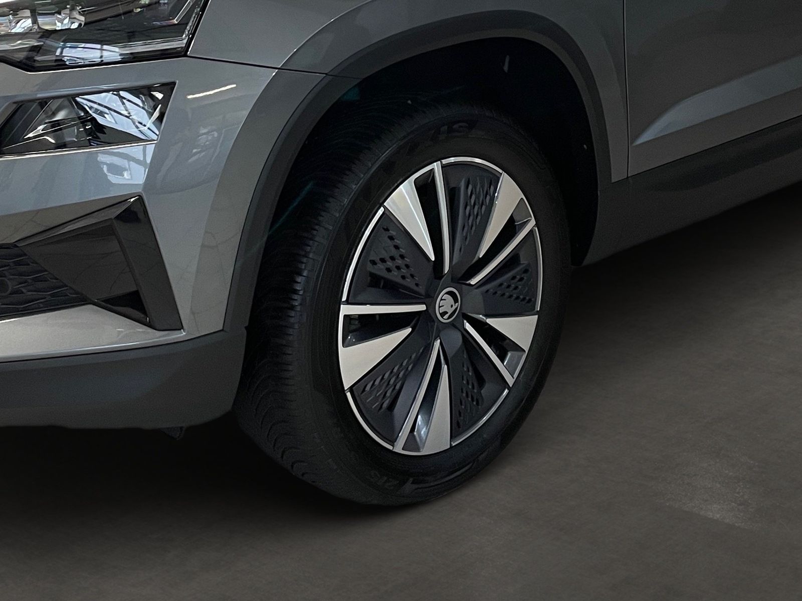 Skoda Karoq - Bild 10