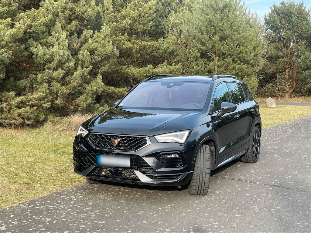 Image of Other Other