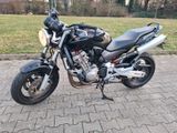 Honda Hornet 900 SC 48 - Offers matching your search criteria