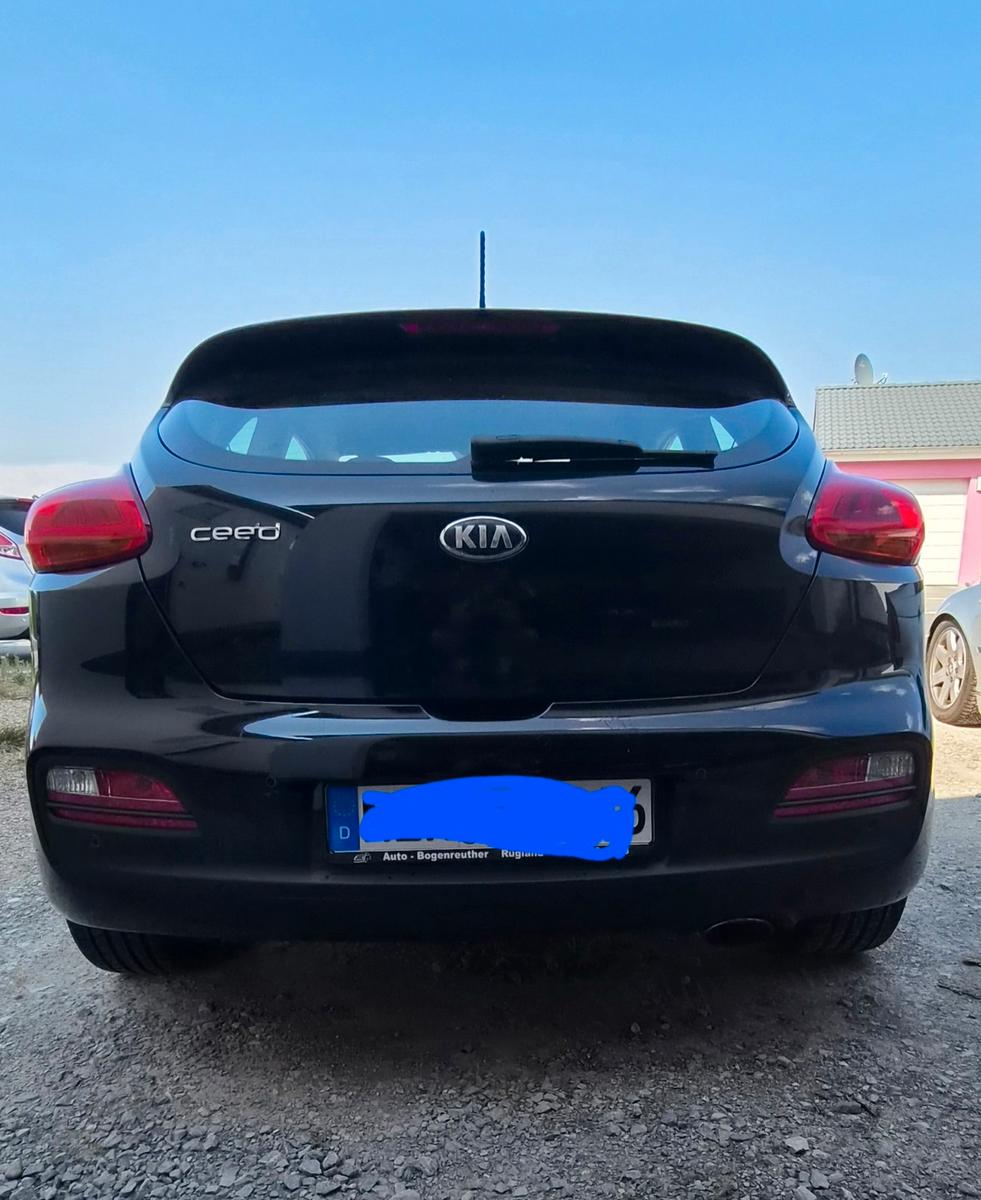 Kia pro_cee'd / ProCeed 1.6 GDI Vision pro_cee'd...