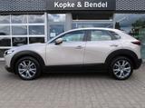 Mazda CX-30 Selection 186 PS *Automatik*AHK*LED* BOSE* - Mazda CX-30 aus 2023