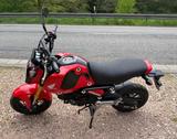 Honda MSX125 Grom - Angebote