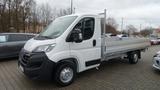 Opel Movano C Pritsche  L4 2.2D *LANG* - Opel Movano Tageszulassungen