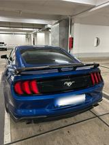 Ford Mustang Eco Boost2.3 - Ford Mustang Gebrauchtwagen in Wuppertal