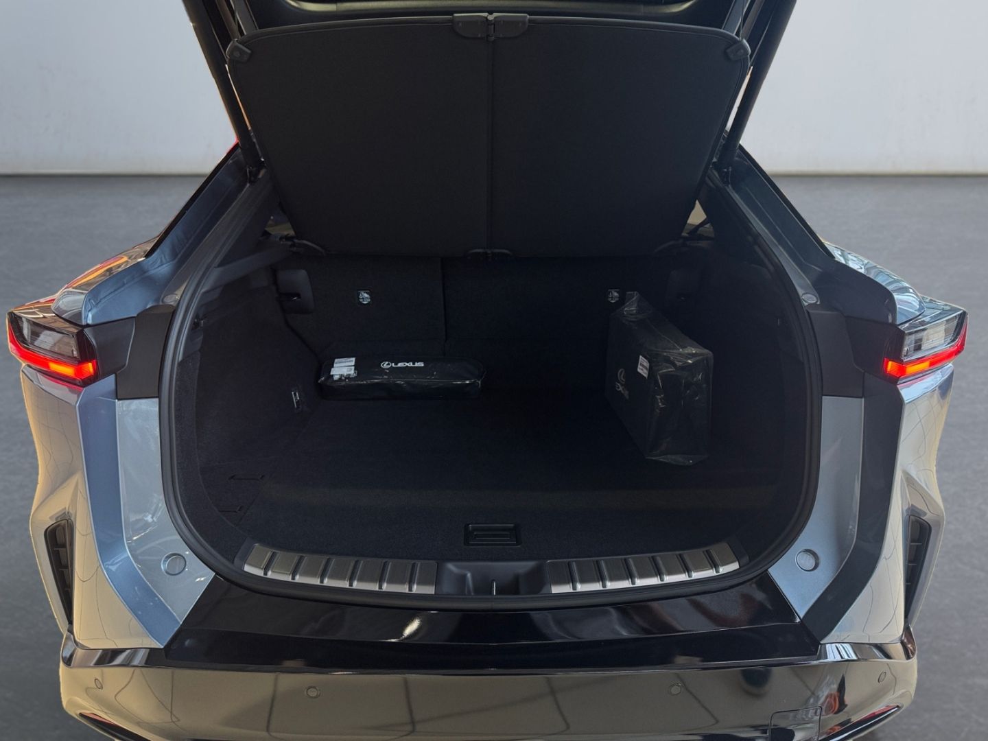 Lexus RZ - Bild 16