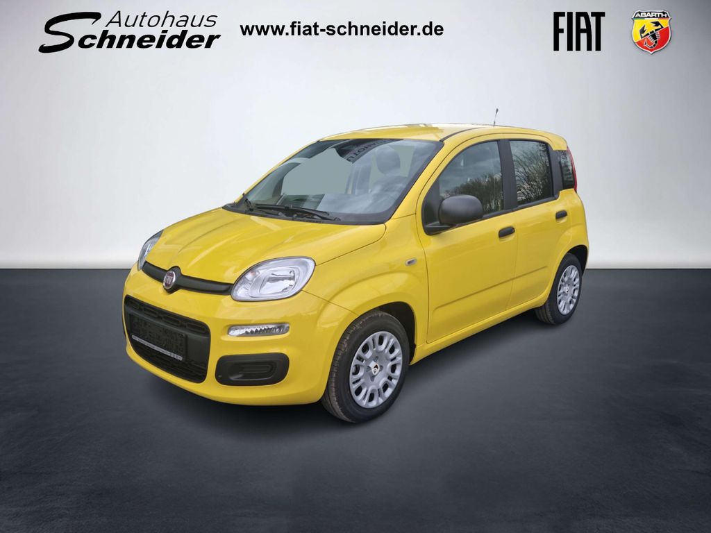 Image of Fiat Panda