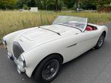 Austin Healey BN1 (100-4) M Spezifikation Denis Welch ZK - Austin Healey: Bn4