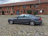 Mercedes-Benz E 55 AMG AMG - aus 2006: AMG