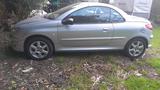 Volkswagen peugeot 206 1.6  kabrio - Volkswagen Polo: Roadster