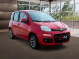 Fiat Panda Lounge - Fiat Panda Gebrauchtwagen in Dortmund