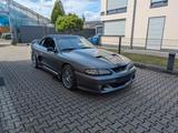 Ford Mustang Cobra 4.6 V8  - Ford Mustang Gebrauchtwagen in Frankfurt