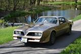 Pontiac Trans Am - Pontiac Trans Am Benziner Gebrauchtwagen